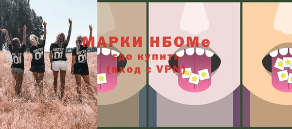 стаф Алзамай