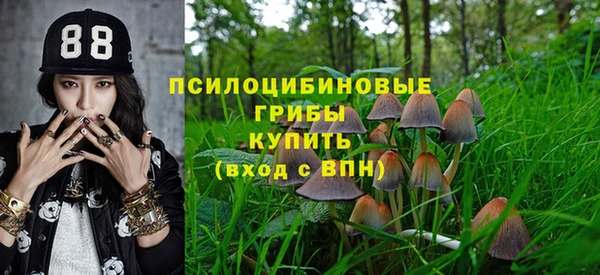 винт Абаза