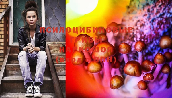 шишки Алексин