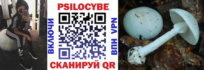 Галлюциногенные грибы прущие грибы  Тавда 